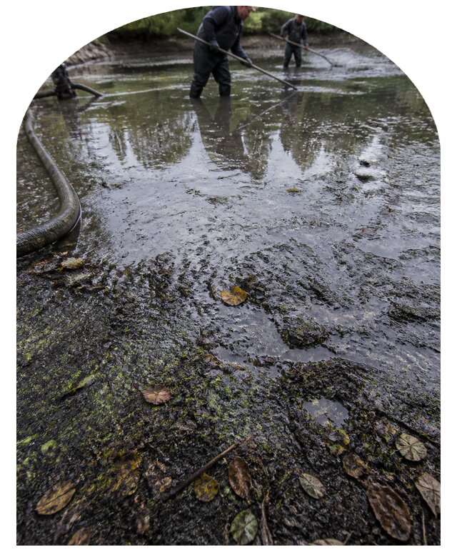 Очистка пруда в Рубцовске от ила мусора и водорослей с вывозом